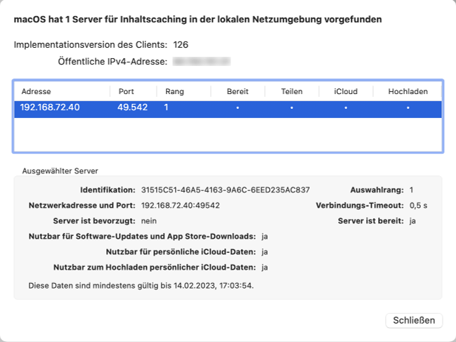 Sind Inhaltscaching-Server vorhanden, werden diese in einer Übersicht dargestellt